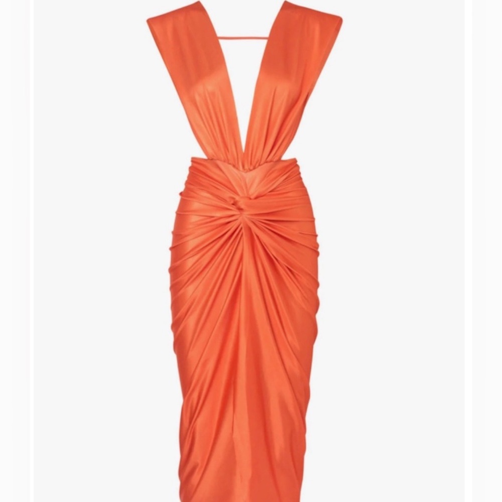 NWT Baobab Mia Dress